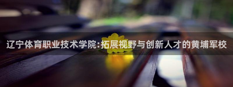 球客岛