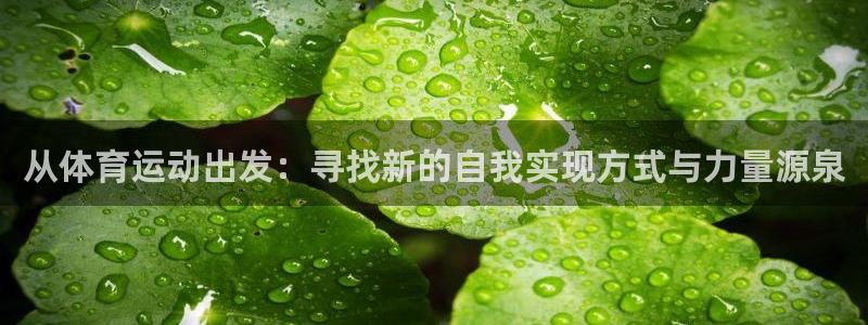球客岛