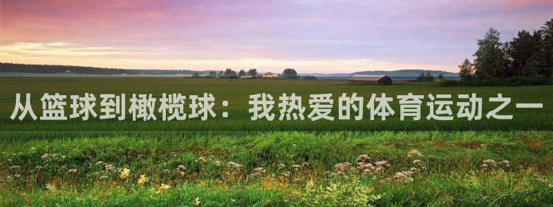 球客岛