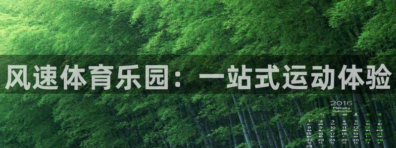 球客岛：风速体育乐园：一站式运动体验