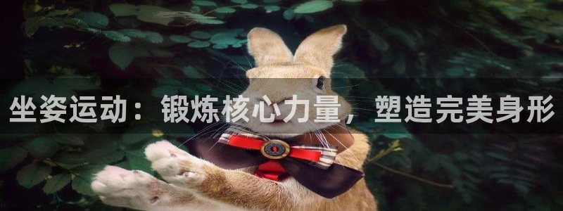 球客岛：坐姿运动：锻炼核心力量，塑造完美身形