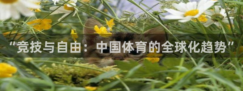球客岛：“竞技与自由：中国体育的全球化趋势”
