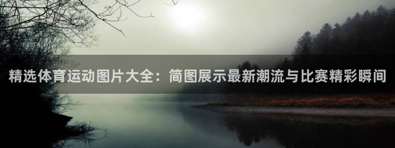 球客岛：精选体育运动图片大全：简图展示最新潮流与比赛精彩瞬间