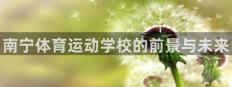 球客岛：南宁体育运动学校的前景与未来