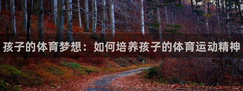 球客岛：孩子的体育梦想：如何培养孩子的体育运动精神