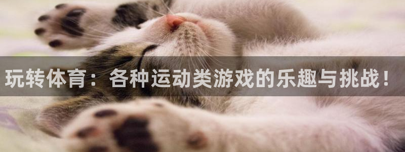 球客岛：玩转体育：各种运动类游戏的乐趣与挑战！