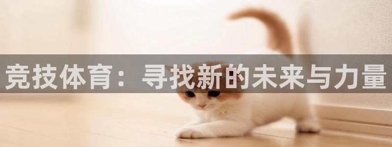 球客岛：竞技体育：寻找新的未来与力量