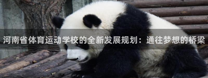 球客岛：河南省体育运动学校的全新发展规划：通往梦想的桥梁