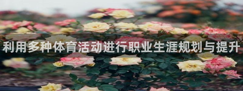 球客岛：利用多种体育活动进行职业生涯规划与提升
