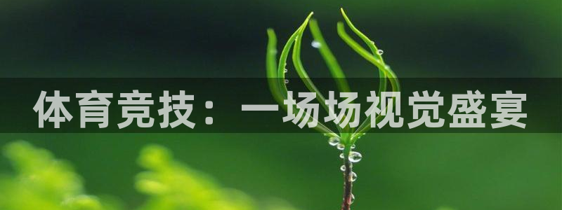 球客岛：体育竞技：一场场视觉盛宴