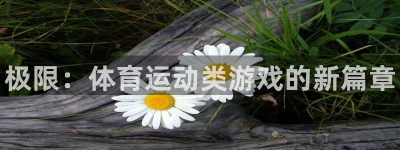 球客岛：极限：体育运动类游戏的新篇章