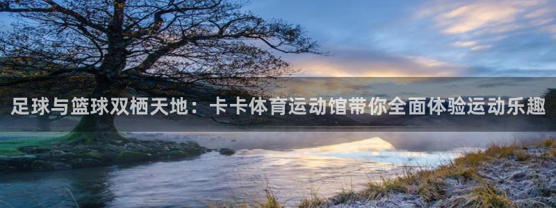 球客岛：足球与篮球双栖天地：卡卡体育运动馆带你全面体验运动乐趣