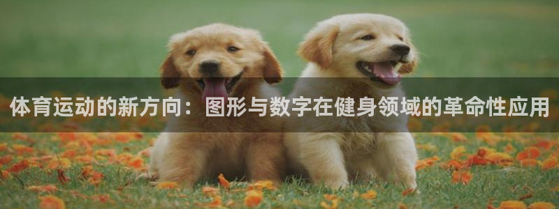 球客岛：体育运动的新方向：图形与数字在健身领域的革命性应用