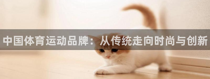 球客岛：中国体育运动品牌：从传统走向时尚与创新