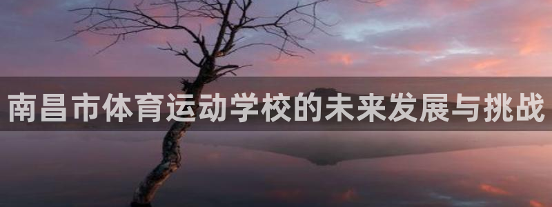 球客岛：南昌市体育运动学校的未来发展与挑战