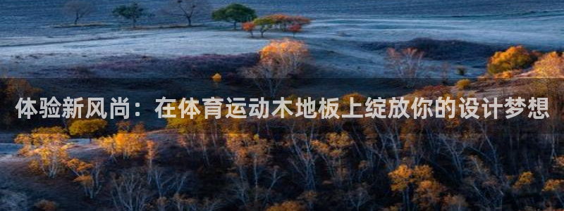 球客岛：体验新风尚：在体育运动木地板上绽放你的设计梦想