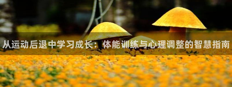 球客岛：从运动后退中学习成长：体能训练与心理调整的智慧指南