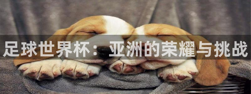 球客岛：足球世界杯：亚洲的荣耀与挑战