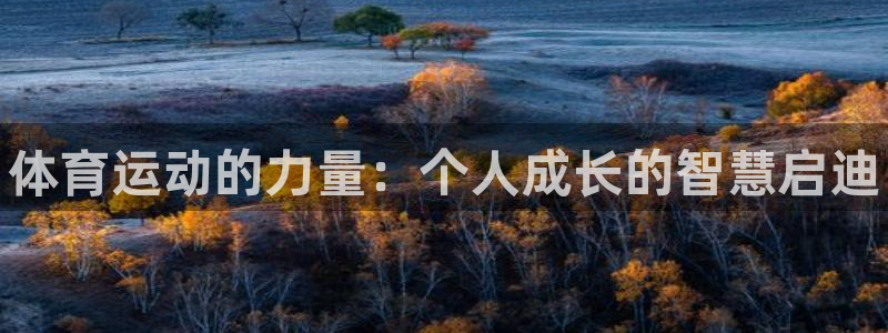 球客岛：体育运动的力量：个人成长的智慧启迪