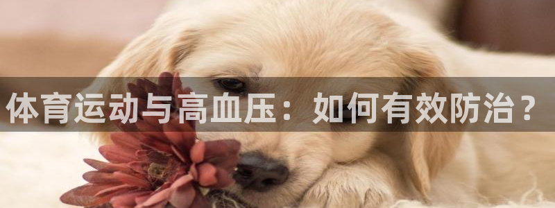 球客岛：体育运动与高血压：如何有效防治？