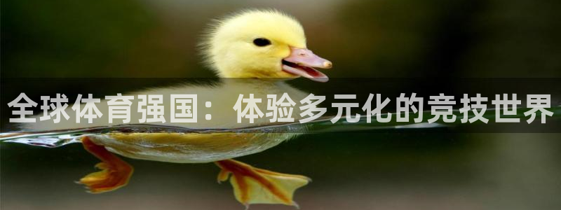 球客岛：全球体育强国：体验多元化的竞技世界
