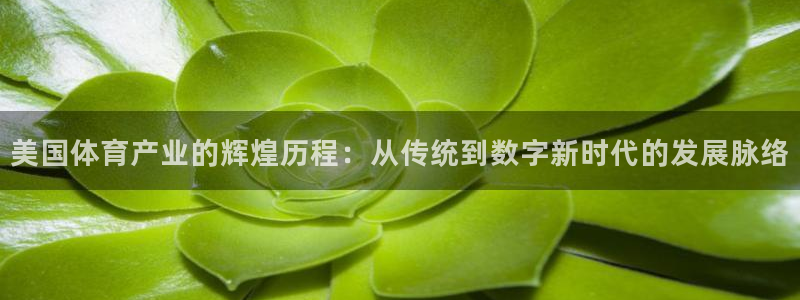球客岛：美国体育产业的辉煌历程：从传统到数字新时代的发展脉络
