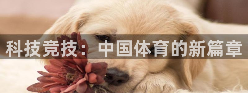 球客岛