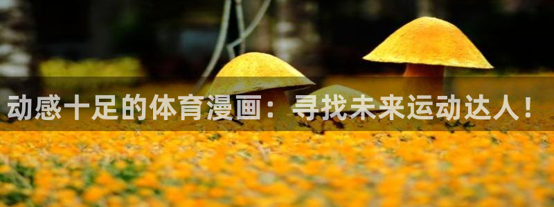球客岛