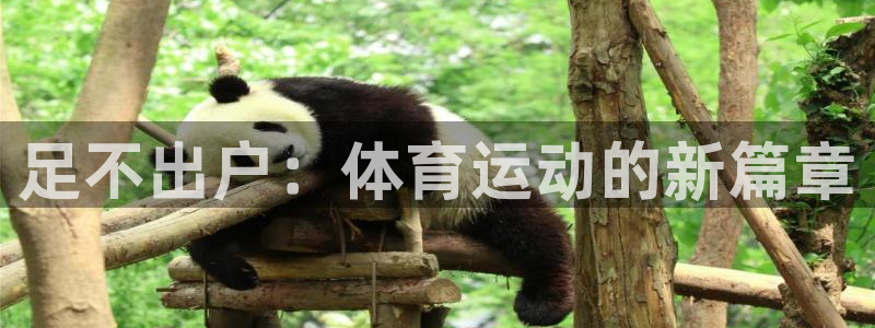 球客岛