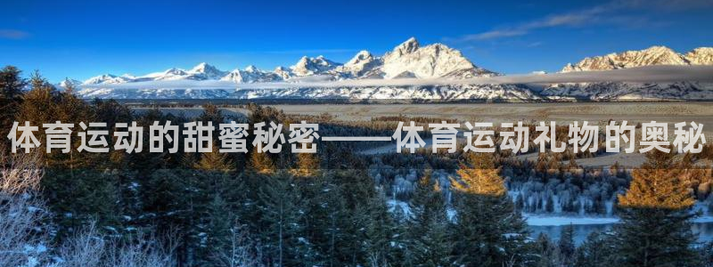球客岛：体育运动的甜蜜秘密——体育运动礼物的奥秘